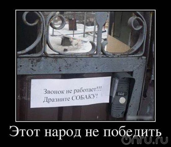 Веселые , смешные демотиваторы обо всем на свете !