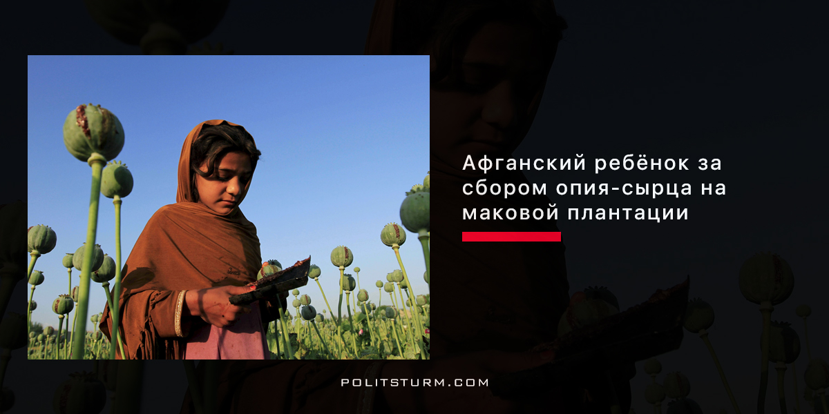 Капитализм и наркомания Капитализм и наркомания