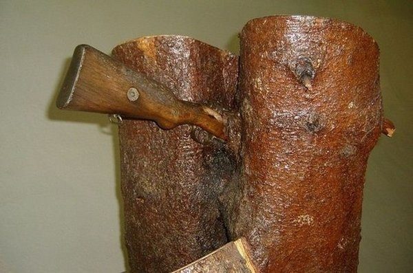 Оружие Великой Отечественной войны, вросшее в деревья Оружие Великой Отечественной войны, вросшее в деревья