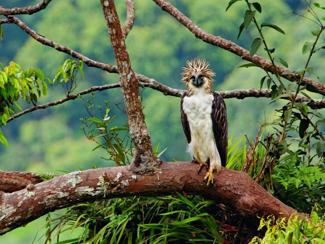 Лучшие фотографии мая 2012 от National Geographic