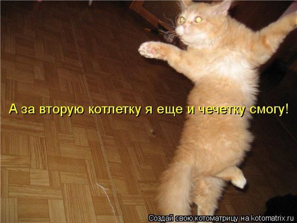 Лунные календари расхождения