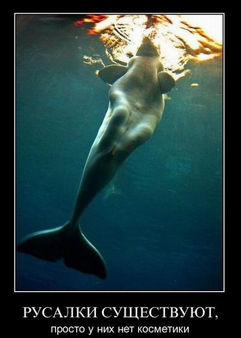 Прикольные демотиваторы на Бугаге (17 шт) Прикольные демотиваторы на Бугаге (17 шт)