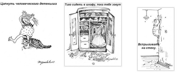 Обязанности кота Обязанности кота дом, кот, обязанности