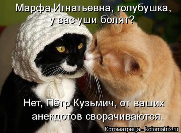 �����������(�������� � ���������)