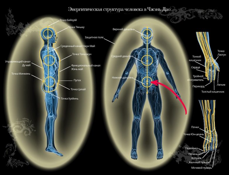 Чем чаще мы наклоняемся, тем дольше живём