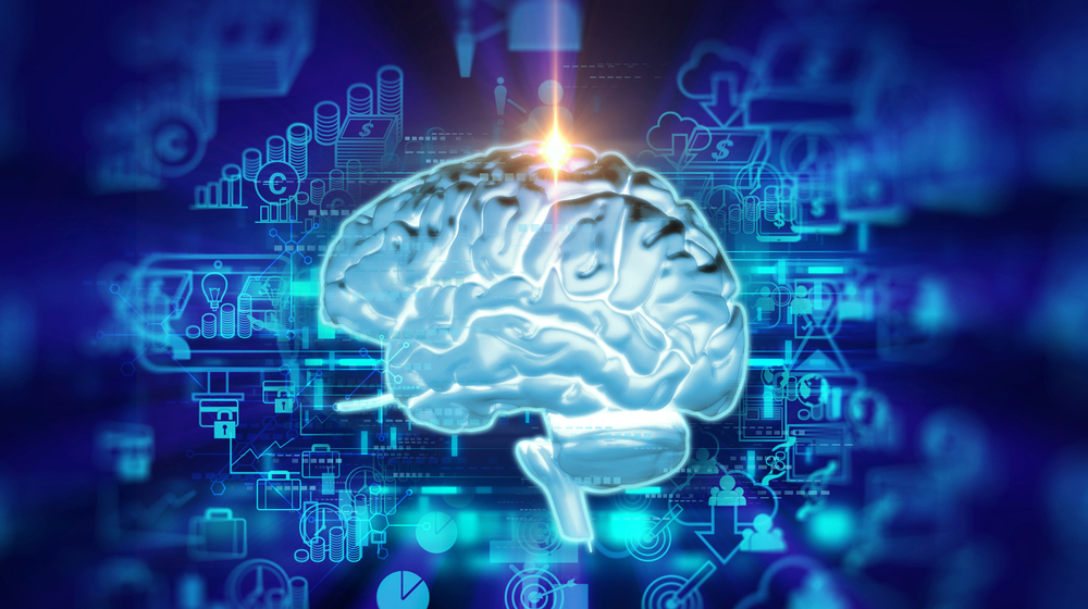 Нейробиологи выяснили, как мозг обрабатывает зеркальные прикосновения