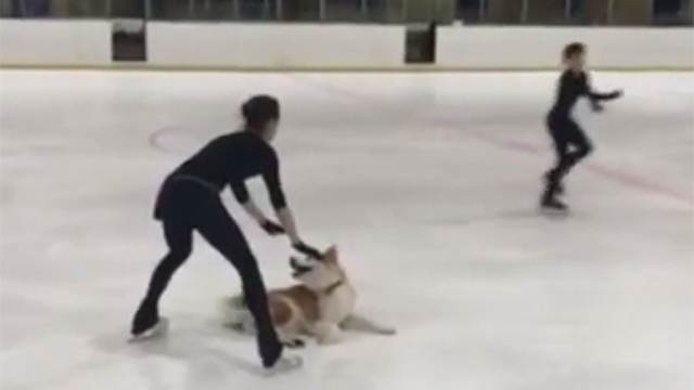 Видео: Загитова вышла на лед вместе со своей собакой