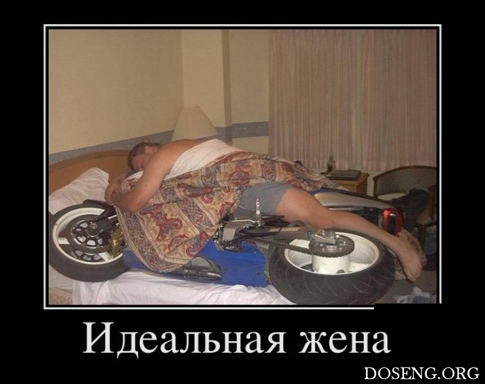 Демотиваторы Демотиваторы