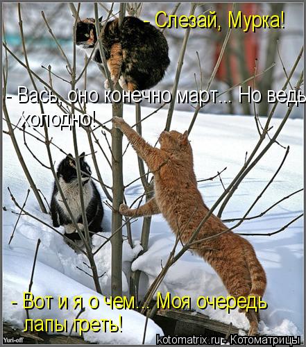 Мысли вслух :)