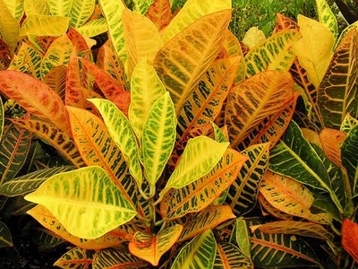 Картинка 4 из 19997