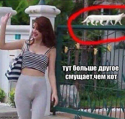 Картинки с надписями и без Картинки с надписями и без мем, прикол, юмор