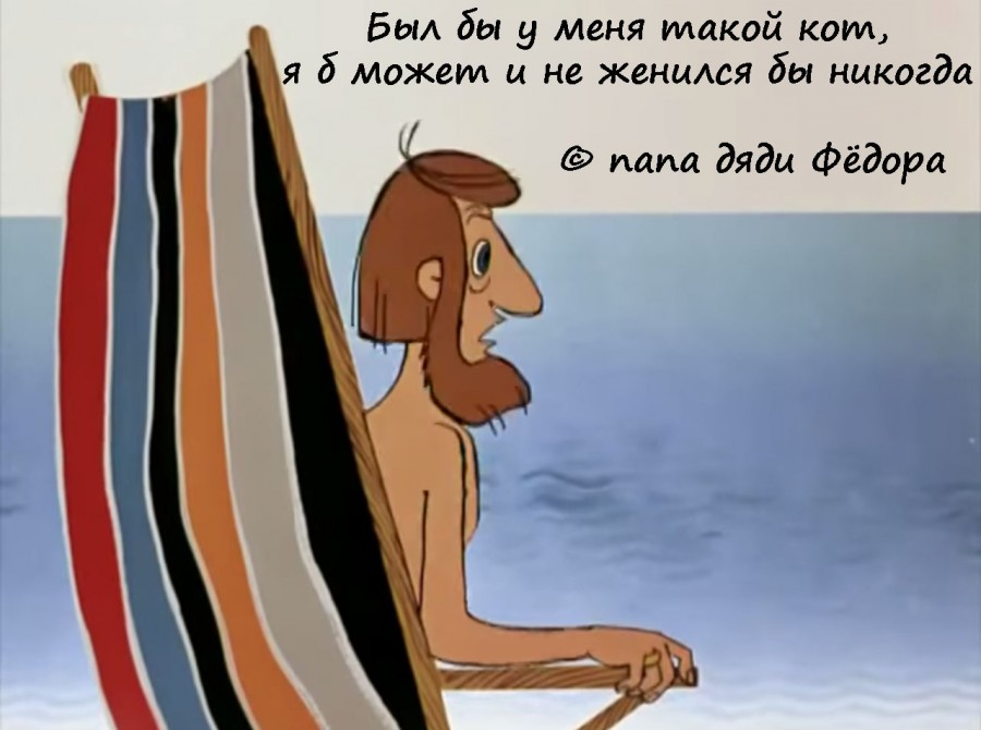 Жизненные цитаты из любимых мультфильмов Жизненные цитаты из любимых мультфильмов