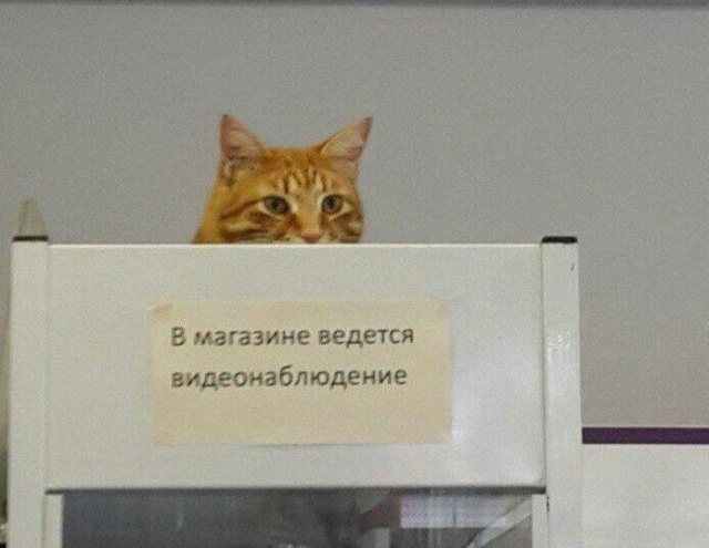 Подборка картинок Подборка картинок