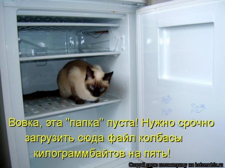 Котоматрицы, прикольная подборка кошек))