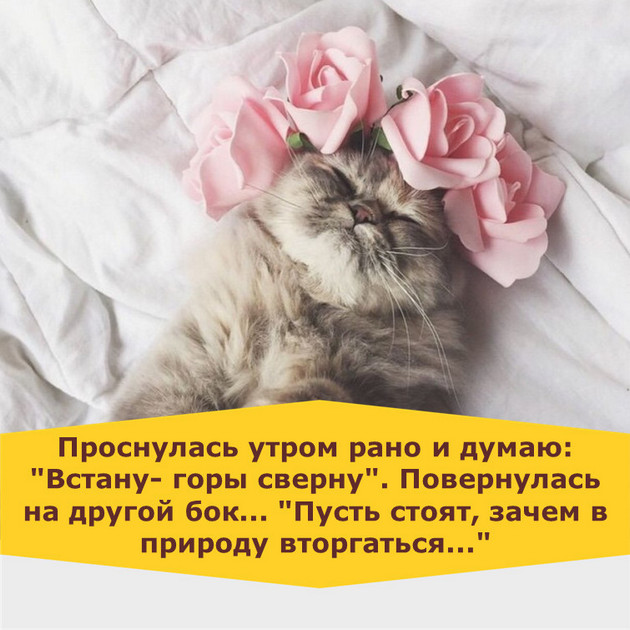 Я настолько неизбалованная баба, что однажды муж принёс мне чай в постель и я разрыдалась. Я настолько неизбалованная баба, что однажды муж принёс мне чай в постель и я разрыдалась.