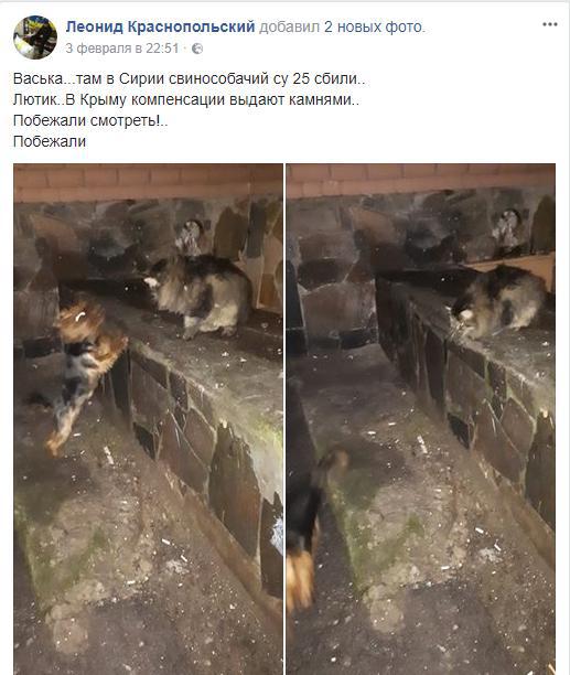 Глумившийся над смертью российского пилота блогер погиб в ДТП
