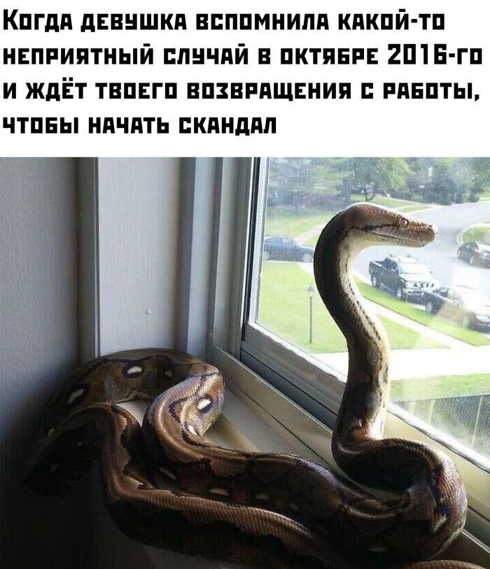 Вот она - жиза семейной жизни Любовь и отношения в картинках и высказываниях
(20 фото)
