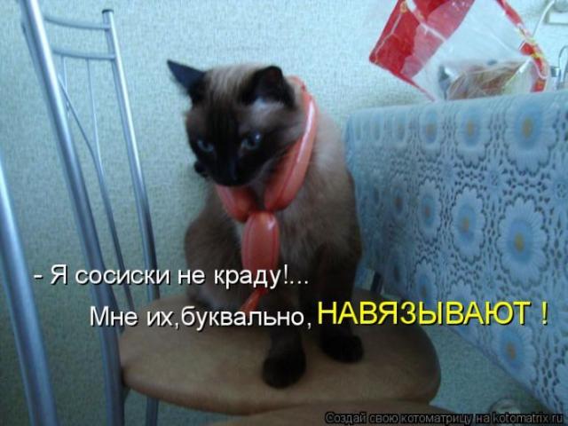 Позитивные котоматрицы ;))