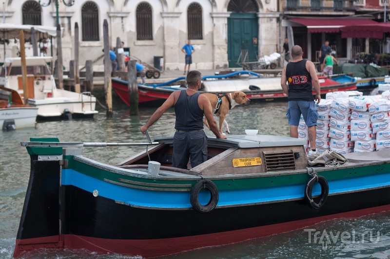 � ������������ ������ �� �����-������. �������. ������ / ���� �� ������