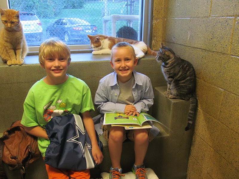 bookbuddies101 Дети учатся читать, а коты им помогают