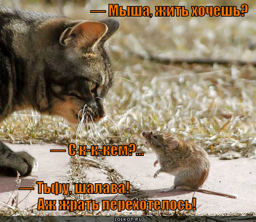 Какого жить одному самостоятельно Какого жить одному самостоятельно