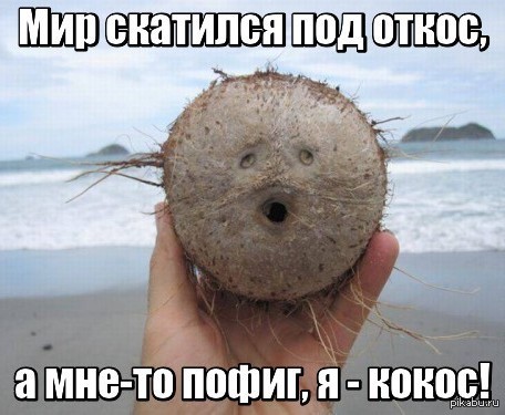 Кокос раздора (Психиатрические байки). Кокос раздора (Психиатрические байки).