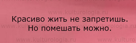 dMisha-39 dMisha-39