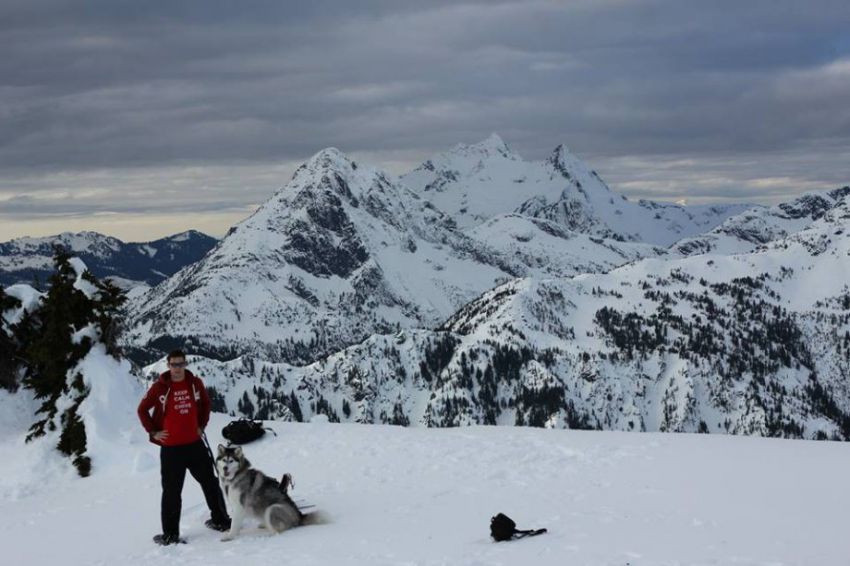 природа, позитив, фото