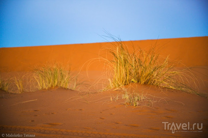 Morocco: Erg Chebbi Morocco: Erg Chebbi