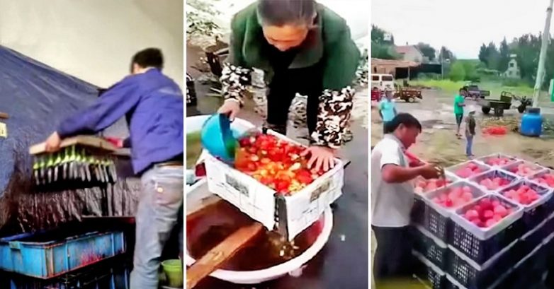 В чём опасность продуктов из Китая? В чём опасность продуктов из Китая?