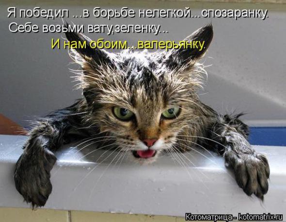 �����������(�������� � ���������)