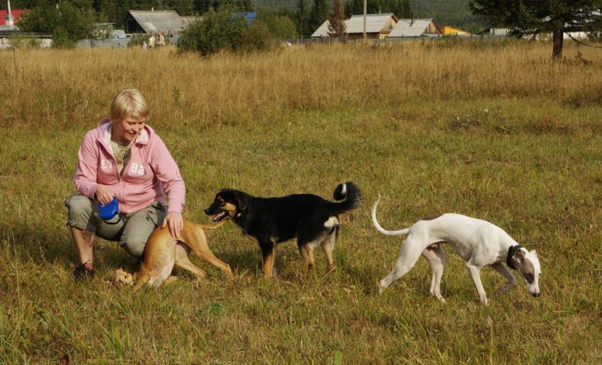 интересное, фото