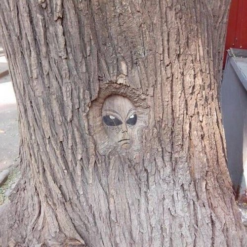 Прикольные картинки для всех (47 шт) Прикольные картинки для всех (47 шт)