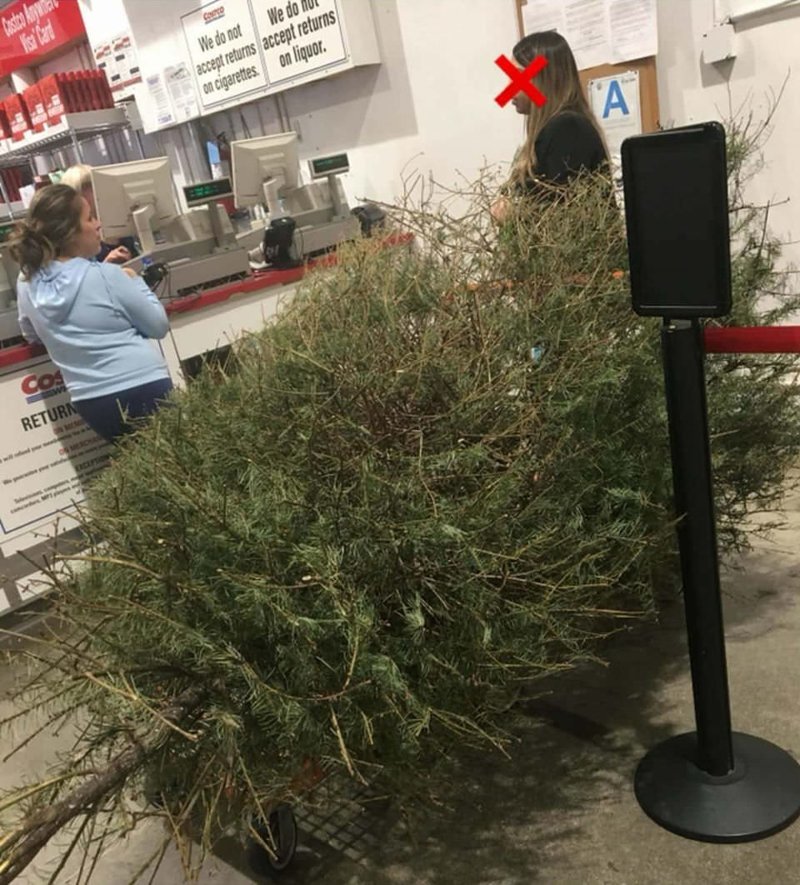 Американка попыталась вернуть елку в магазин после праздников Американка попыталась вернуть елку в магазин после праздников америка, в мире, возврат, елка, люди, магазин, юмор