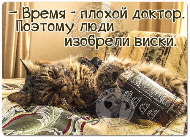 Позитивные фразки в картинках