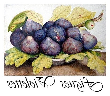 figues violettes transfer[5] (430x377, 74Kb)