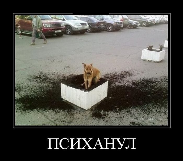 Демотиваторы.Смешные, грустные, жизненные.... Демотиваторы.Смешные, грустные, жизненные....