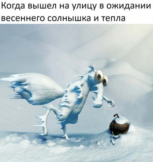 Прикольная подборка анекдотов