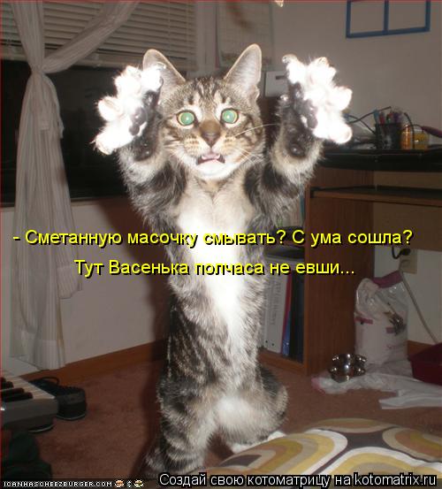 Пятничная котоматрица! Сама хохотала до упаду)))
