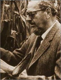 Нелепые смерти