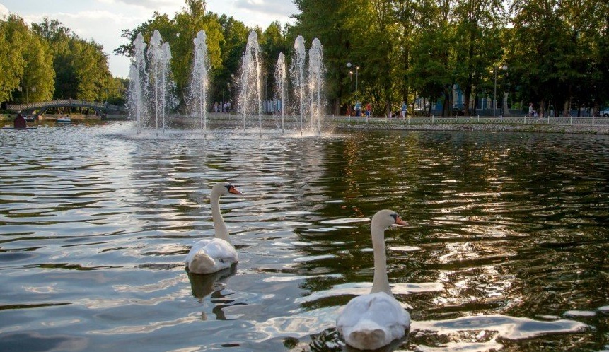 Жителям Алтуфьева предложили оценить работу Лианозовского парка