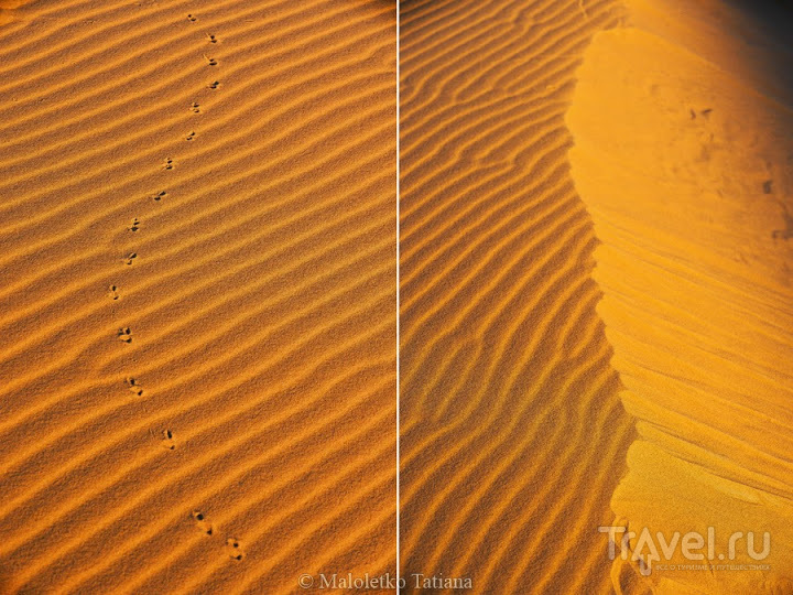 Morocco: Erg Chebbi Morocco: Erg Chebbi