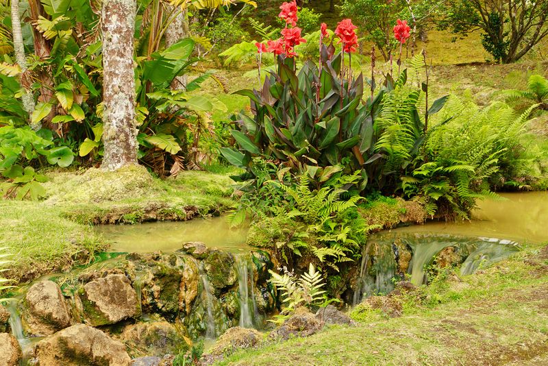 Азорские острова - места нетронутой природы