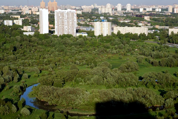 Для жителей Южного Тушина в честь Дня города организуют пешую прогулку