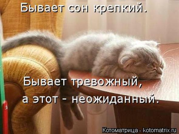 �����������(�������� � ���������)