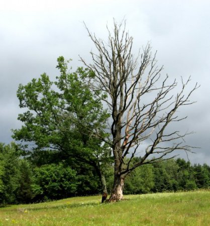 Мудрые фразы о жизни и любви