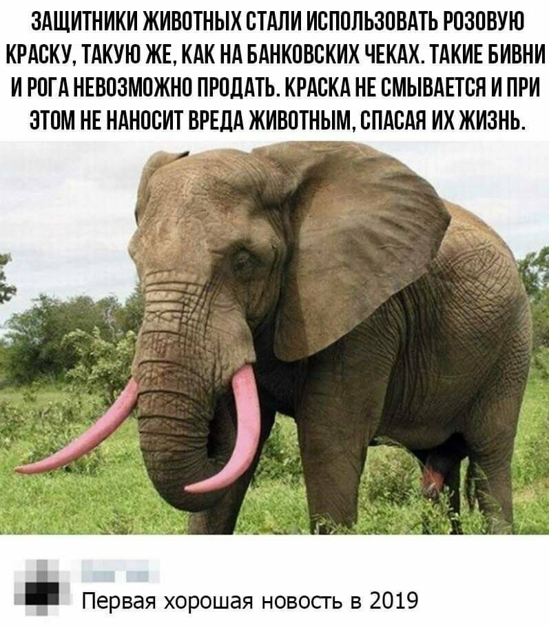 Фейки о коронавирусе - самые опасные! Фейки о коронавирусе - самые опасные!