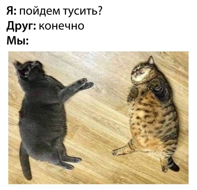 Подборка картинок Подборка картинок