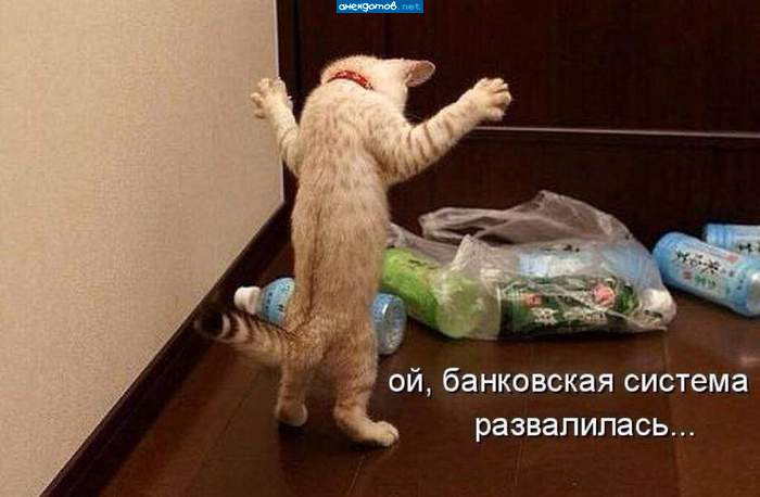 Котоматрицы великолепные, каждая с кусочком тепла, позитива и улыбкой! Котоматрицы великолепные, каждая с кусочком тепла, позитива и улыбкой!