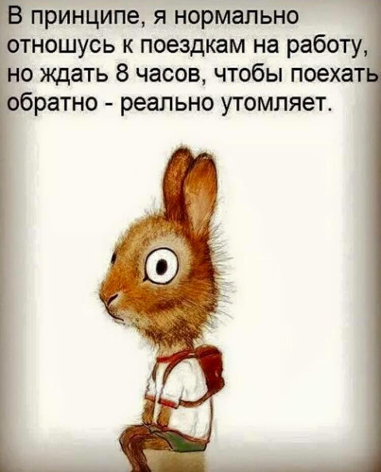Очередная подборка из 15 жизненных историй с просторов интернета от обычных пользователей сети… Очередная подборка из 15 жизненных историй с просторов интернета от обычных пользователей сети…